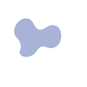 788ed908-placeholder-1770018337