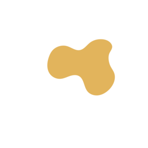 1e8dbbd1-placeholder-1769997117