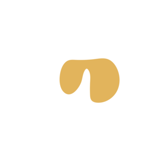 C6eb1d09-placeholder-1770038549