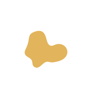 218d74e5-placeholder-1770009705