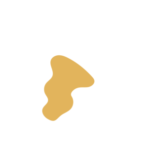 Bf56a4be-placeholder-1770009121