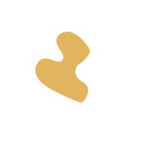 A6b94eb2-placeholder-1770027274