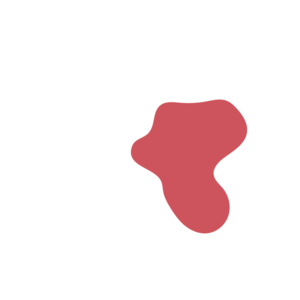 A6037555-placeholder-1770004896