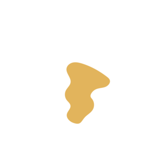 Bd2c443a-placeholder-1770009538