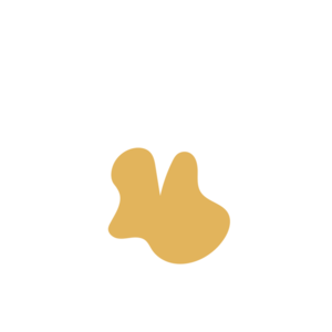 D017d6ea-placeholder-1770006260