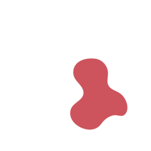 E215cb44-placeholder-1770020583