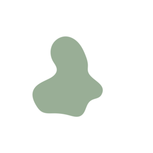 8507a31e-placeholder-1770022009