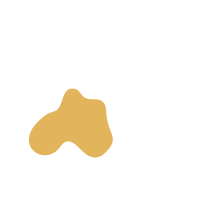 F6169884-placeholder-1770048566