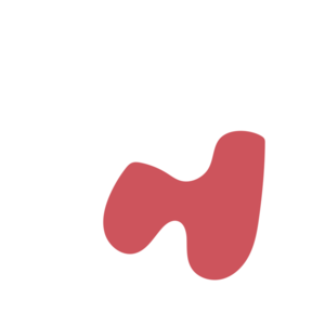 Ce254528-placeholder-1770051587