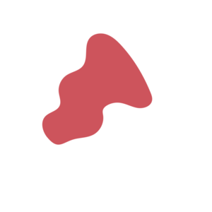 A53aa0b1-placeholder-1770008264