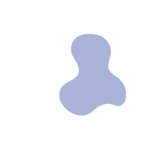 C0db7643-placeholder-1769021169