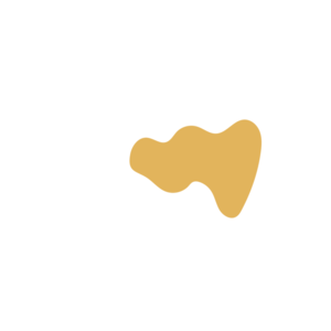 447664a3-placeholder-1770006864