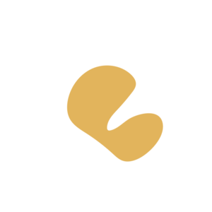 84c98a4b-placeholder-1770020581