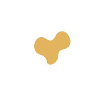 B11e938b-placeholder-1770051218