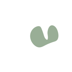 A8fbbd3b-placeholder-1770018798