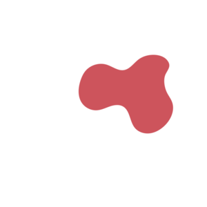 3adff659-placeholder-1770026722