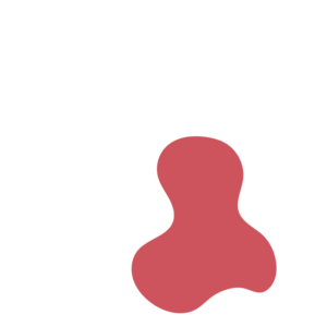 E8cba4b4-placeholder-1770036762