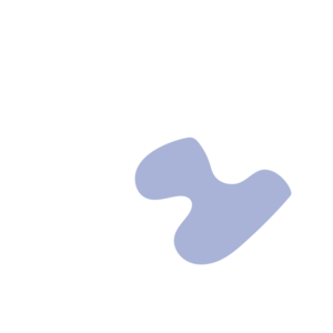 B78abace-placeholder-1770023434