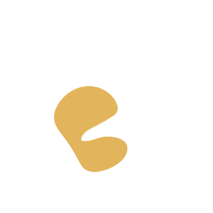 36b68c8b-placeholder-1770029948