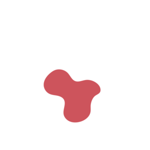 911d9f0b-placeholder-1770022342