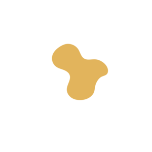 563b8f1e-placeholder-1770010613