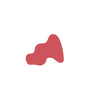 84970b25-placeholder-1770056222