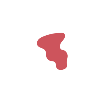 55efd3f3-placeholder-1769995031