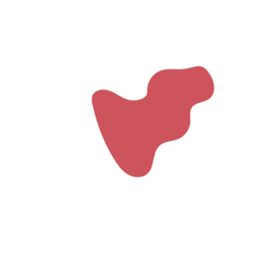 91ed0f48-placeholder-1770007027