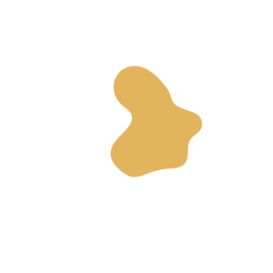 Cfe823e5-placeholder-1770037624