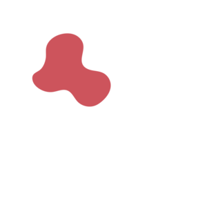 6ad08762-placeholder-1770009989