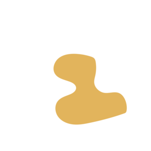 316921ad-placeholder-1770109569