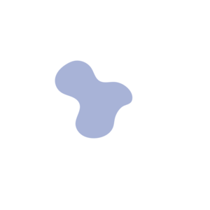 A067c9df-placeholder-1770046309