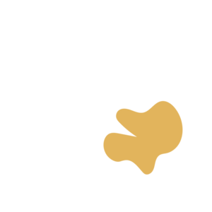 2177971a-placeholder-1770023078