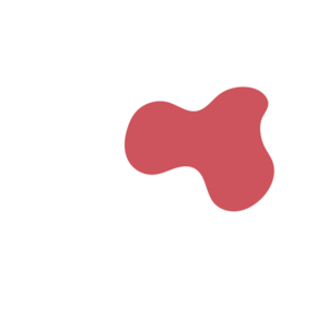 0b7da663-placeholder-1770005554