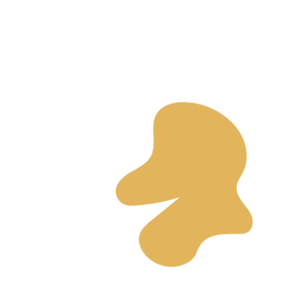 D023a7d7-placeholder-1770013371