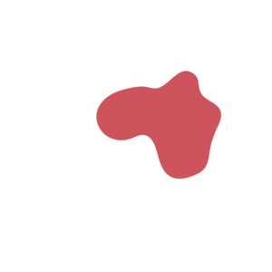 Eb2990b7-placeholder-1770006252