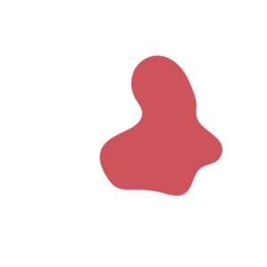 A281004d-placeholder-1770009270