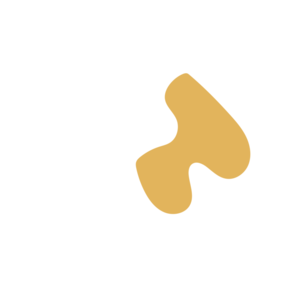 44f6a44d-placeholder-1770007152