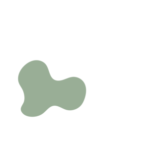 1733c8bb-placeholder-1770017629