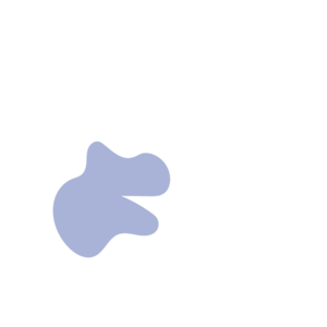 D3d2d2cb-placeholder-1770013605