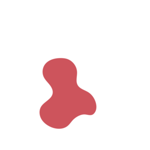 99ef8a64-placeholder-1770008572