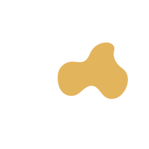 1a871591-placeholder-1770027255