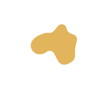 0b231288-placeholder-1770006120