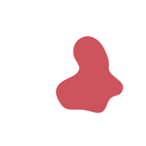 F0c7d996-placeholder-1770008147