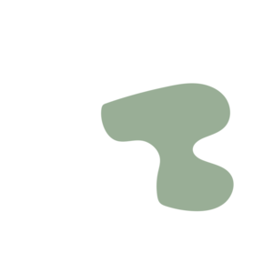 Fe61de2a-placeholder-1770013393