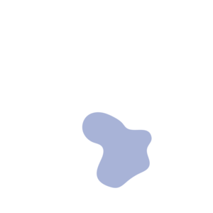 0a963a07-placeholder-1769241665