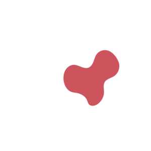 B9339460-placeholder-1770006373