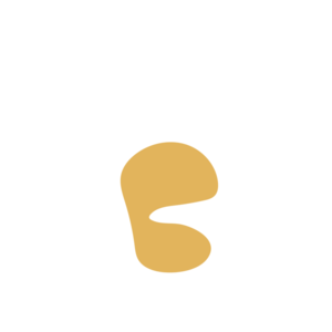 9c55c6d3-placeholder-1770007021