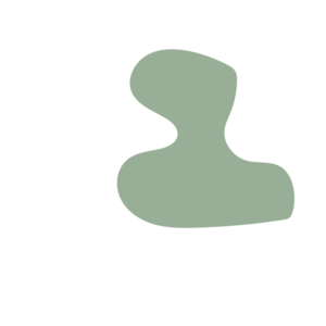 Bb0d17f4-placeholder-1770020667