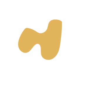 Bfb9d79d-placeholder-1770107825